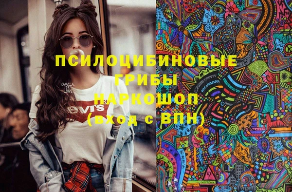 спиды Алексин