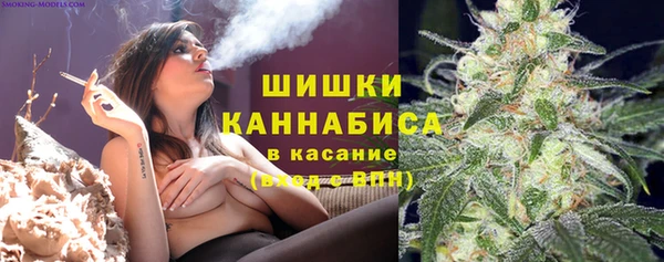 индика Алзамай