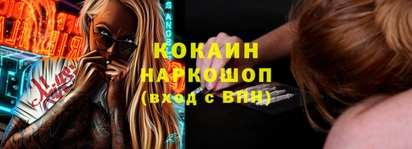 индика Алзамай