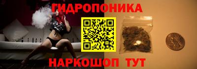 наркотики Кингисепп