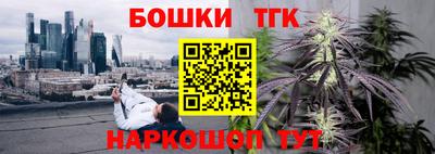 шишки Кинель