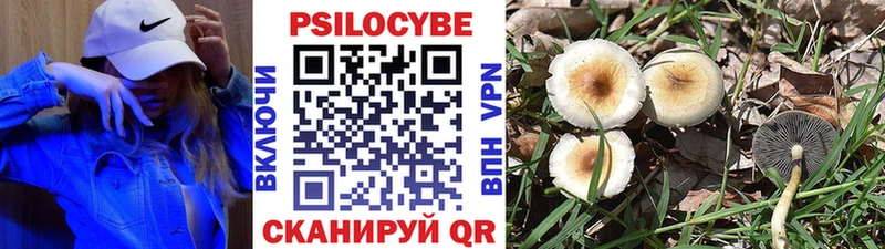 Псилоцибиновые грибы ЛСД Куйбышев