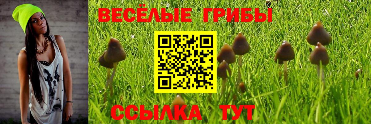 Куйбышев  Галлюциногенные грибы Magic Shrooms  Вход с VPN  Псилоцибиновые грибы мицелий 